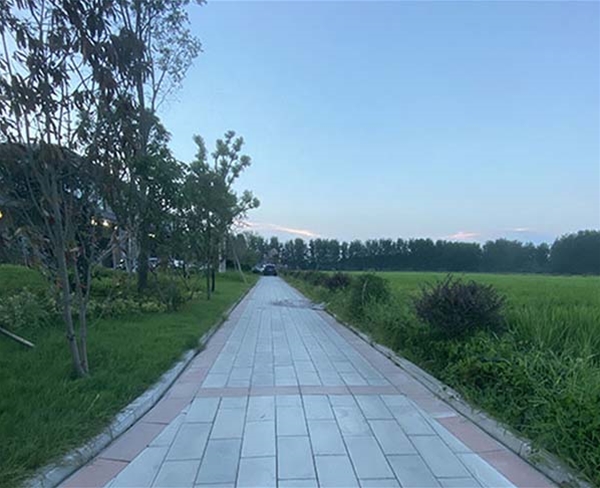 仿石透水砖 (1)